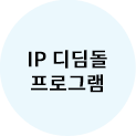IP 디딤돌 프로그램